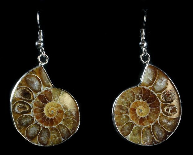 Fossil Ammonite Earrings - Million Years Old #35812